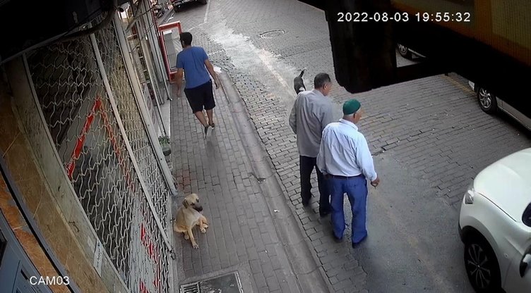 Sokak köpeği saldırınca çalışamayacak duruma geldi: O anlar kameraya böyle yansıdı!