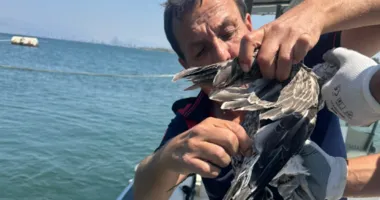 İzmir’de dikkat çeken kurtarma operasyonu