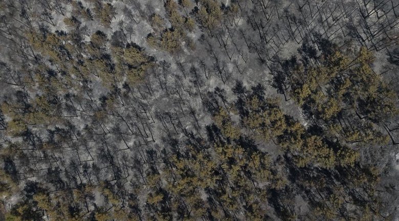 Buldan yangınında felaketin boyutu havadan görüntülendi