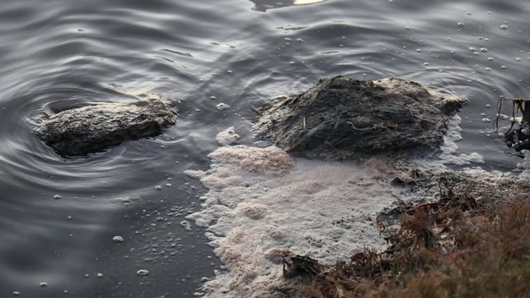 Muğla’da korkutan görüntü: Göl çevresindeki köpük endişe yarattı