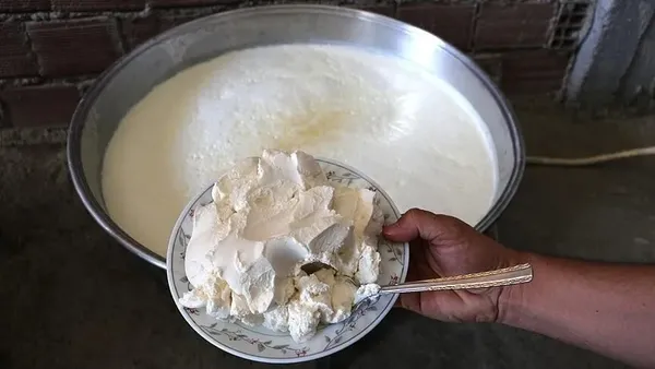 her-gun-yiyoruz-ama-hikayesini-bilmiyoruz-yogurt-nasil-yogurt-oldu-ilk-yogurt-nasil-bulundu-ilk-yogurt-mayasi-1783407715973.jpeg