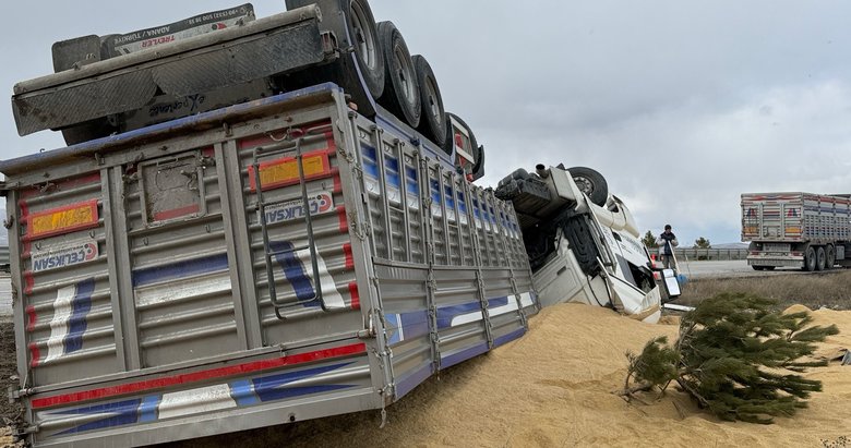 Devrilen tırdaki tonlarca yem çevreye saçıldı