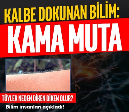 Kalbe dokunan bilim: Kama Muta
