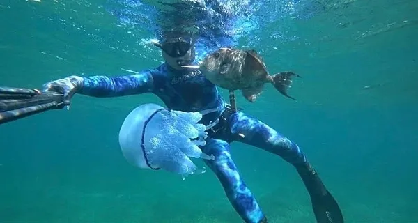 1789026081739.jpeg
