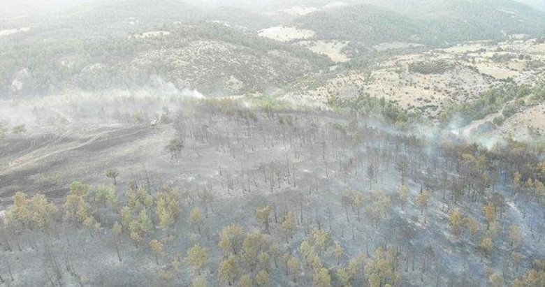 Çanakkale’de 2,5 hektar ormanlık alan yandı