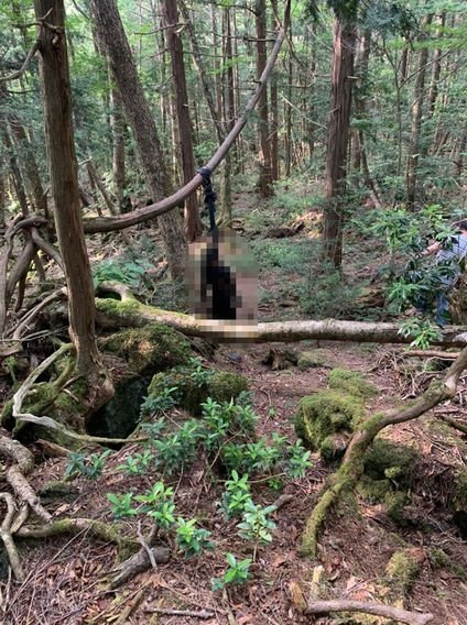 Japonya’daki intihar ormanında intihar vakası!