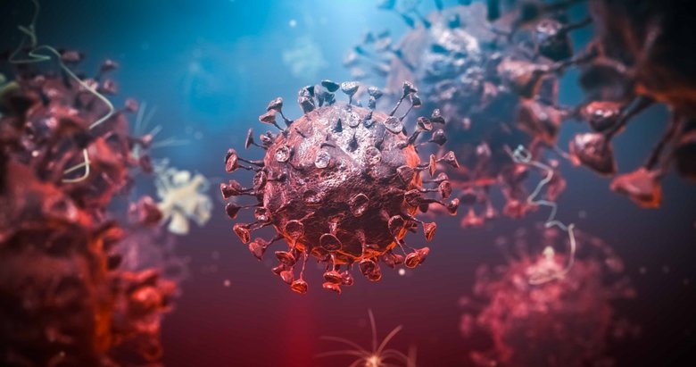 Koronavirüsün kaynağı yarasalar mı? DSÖ raporundan çarpıcı detaylar