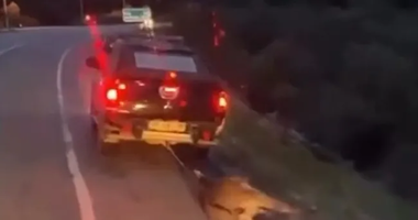 Muğla’da hayvana zulüm cezasız kalmadı