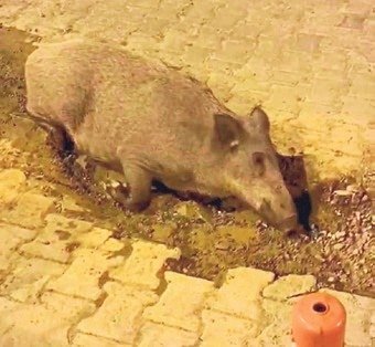 İzmir’de barajlar alarm veriyor