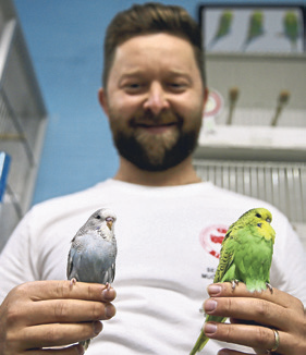 Muhabbet kuşlarına konteynerde bakıyor