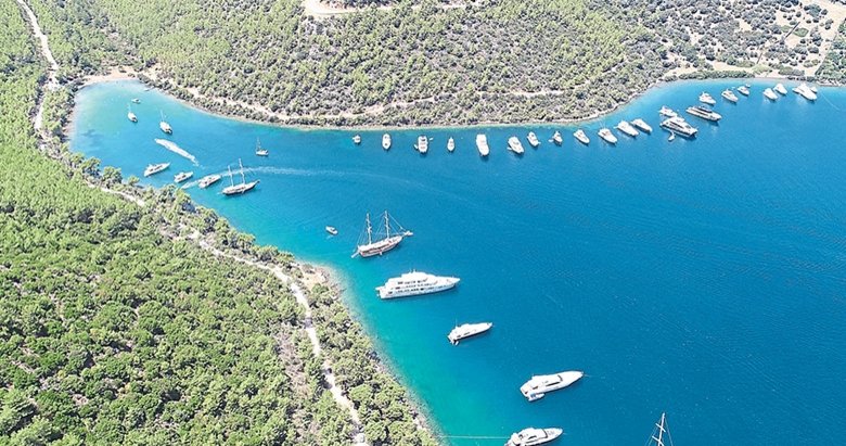 Bodrum Da Balik Ciftligi Istilasi Yasam Haberleri