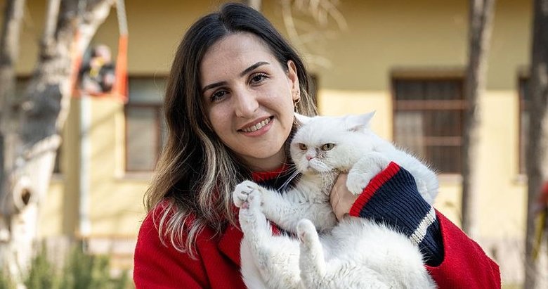 Kalp hastası kedi Lucy’ye stressiz yaşam tavsiyesi