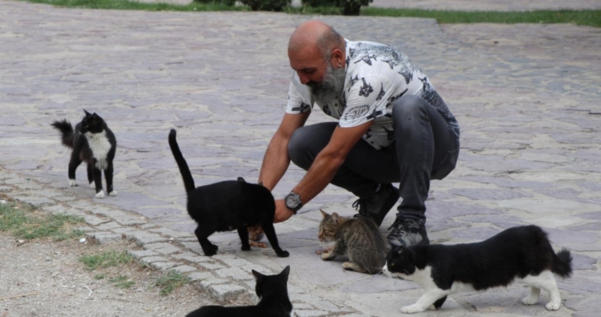 yeni asir