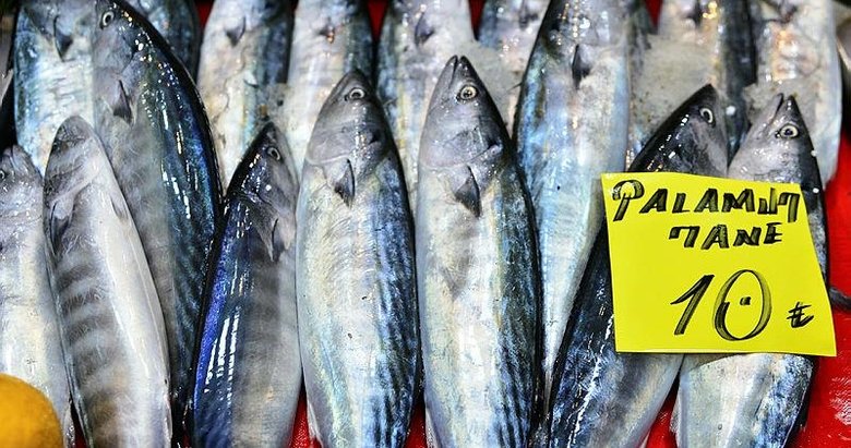Denizin kırmızı etli balığı palamut 10 liradan tezgahlarda