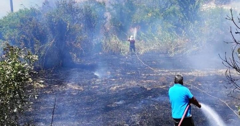 Aydın Karacasu’daki arazi yangını kontrol altına alındı