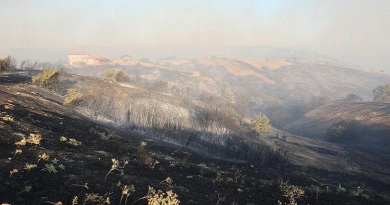 Denizli’de çıkan orman yangını kontrol altına alındı