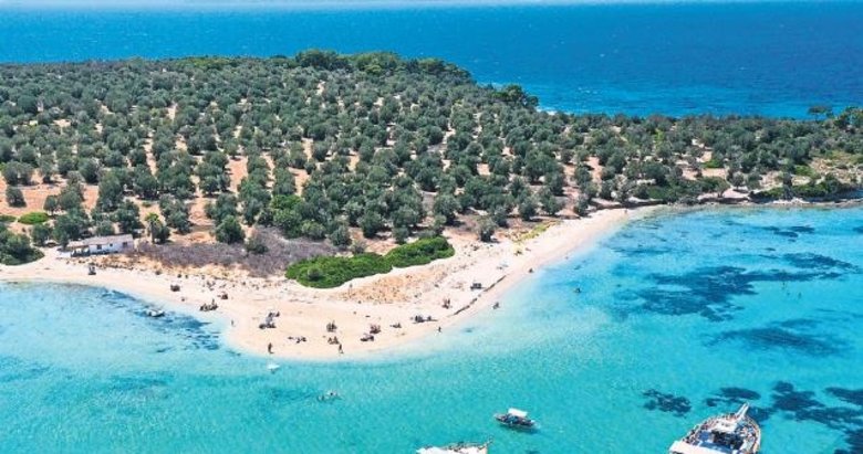 Tropik ada değil Dikili