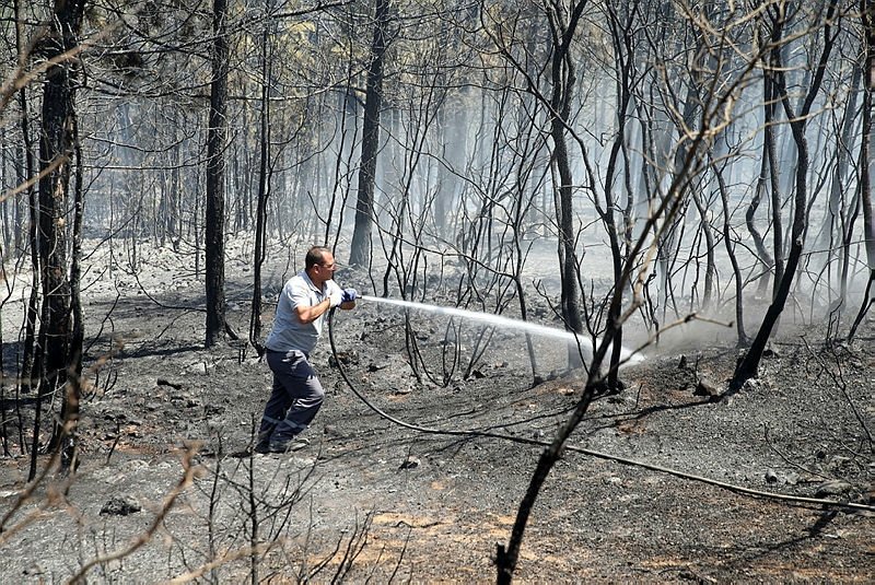 Uşak’ta çıkan 2 orman yangını kontrol altına alındı
