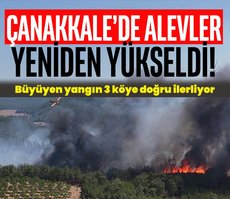 Çanakkale’de korkutan orman yangını! Alevler 3 köye doğru ilerliyor