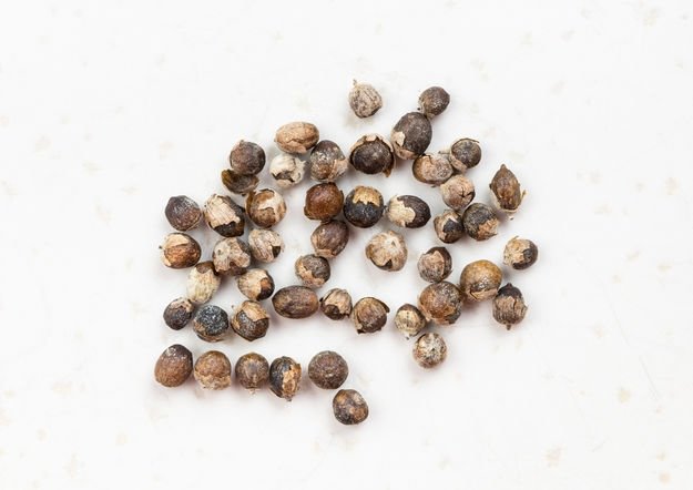 Hayıt otu nedir? Hayıt otunun faydaları nelerdir? Hayıt otu ne işe yarar?