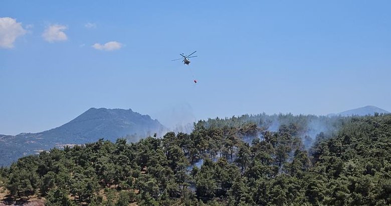 Balıkesir’deki orman yangını kontrol altında