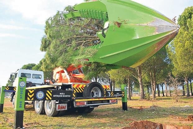 Bir yanda yangın bir yanda katliam