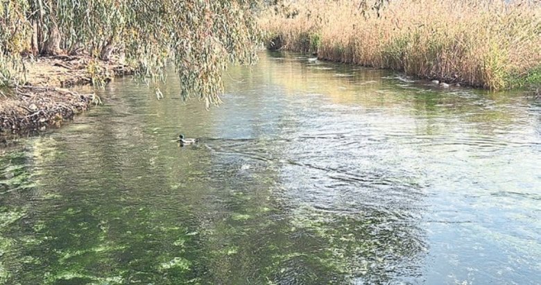 Akyaka, BM’nin ‘En İyi Turizm Köyleri’ listesinde