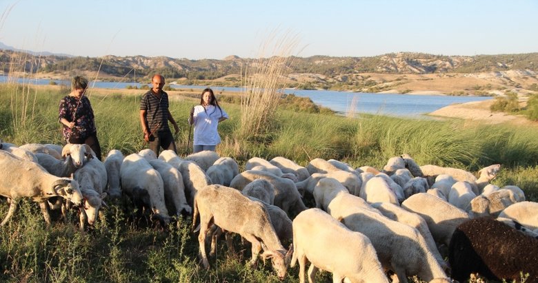 Bu çobanlar farklı! Baba iki, kızları üç dil biliyor