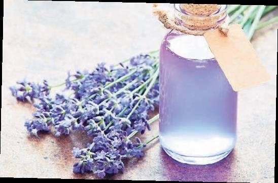 Mis kokulu evler için sağlıklı kokular