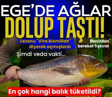 Ege’de ağlar dolup taştı: Rekor kırdı! En çok hangi balık tüketildi? İzmir, Muğla...