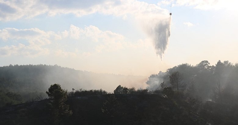 Çivril’in ciğerleri yanıyor