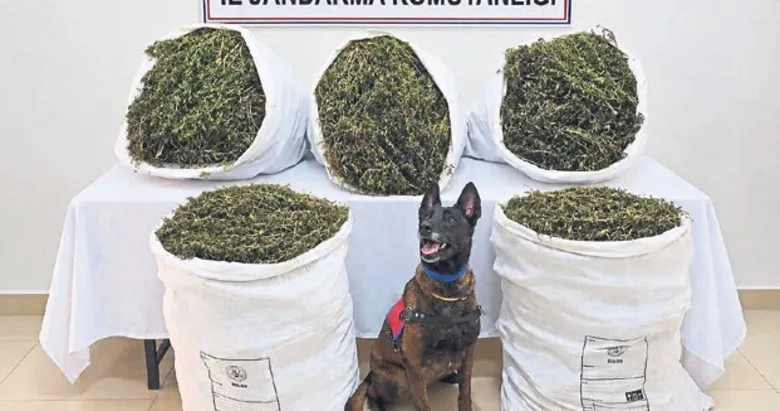 Tire’de 54 kilogram uyuşturucu ele geçirildi