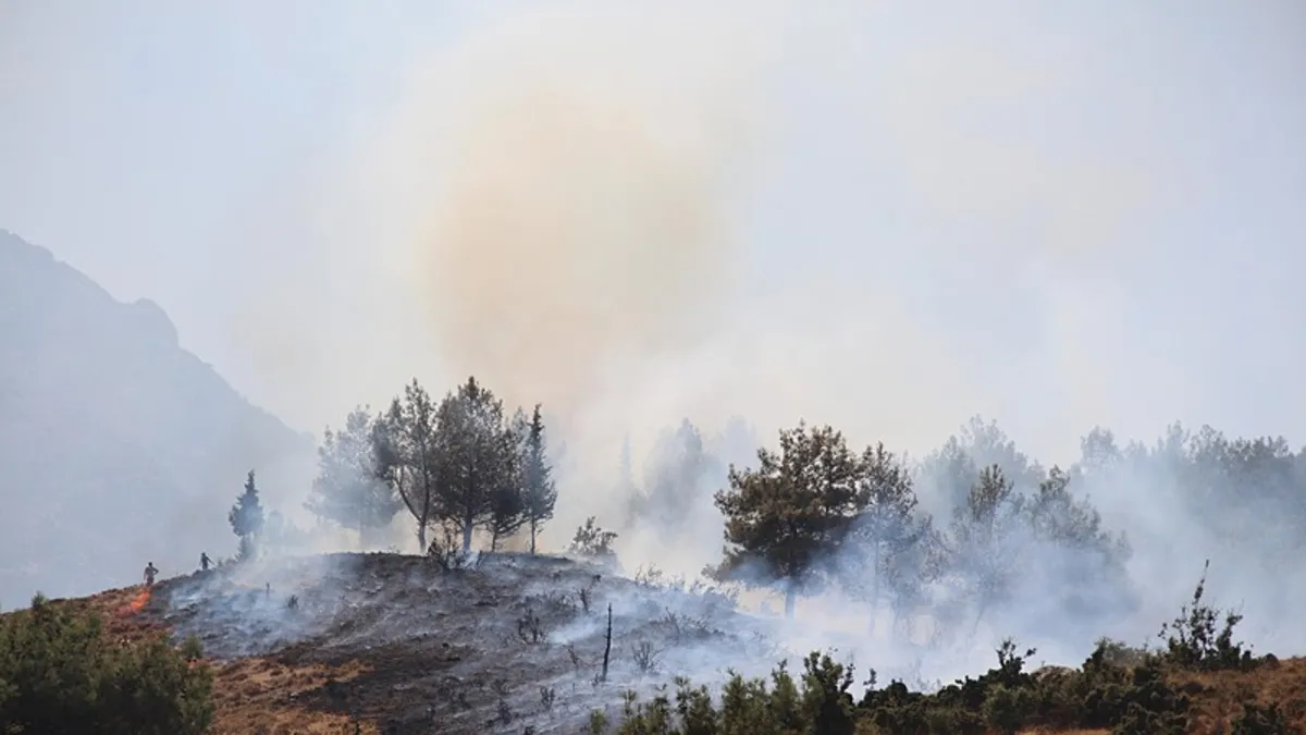 Manisa'nın Şehzadeler İlçesinde Orman Yangınına Hızla Müdahale Ediliyor