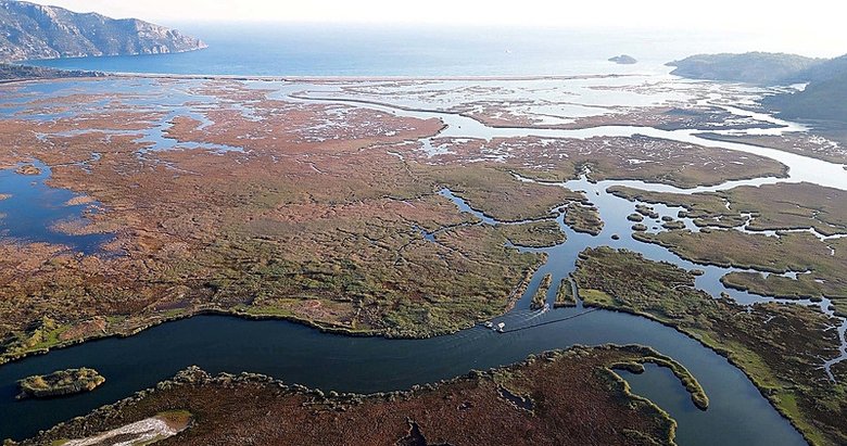 Her yıl binlerce turist ziyaret ediyor! Dalyan Kanalı’nın labirent görünümülü sazlıkları