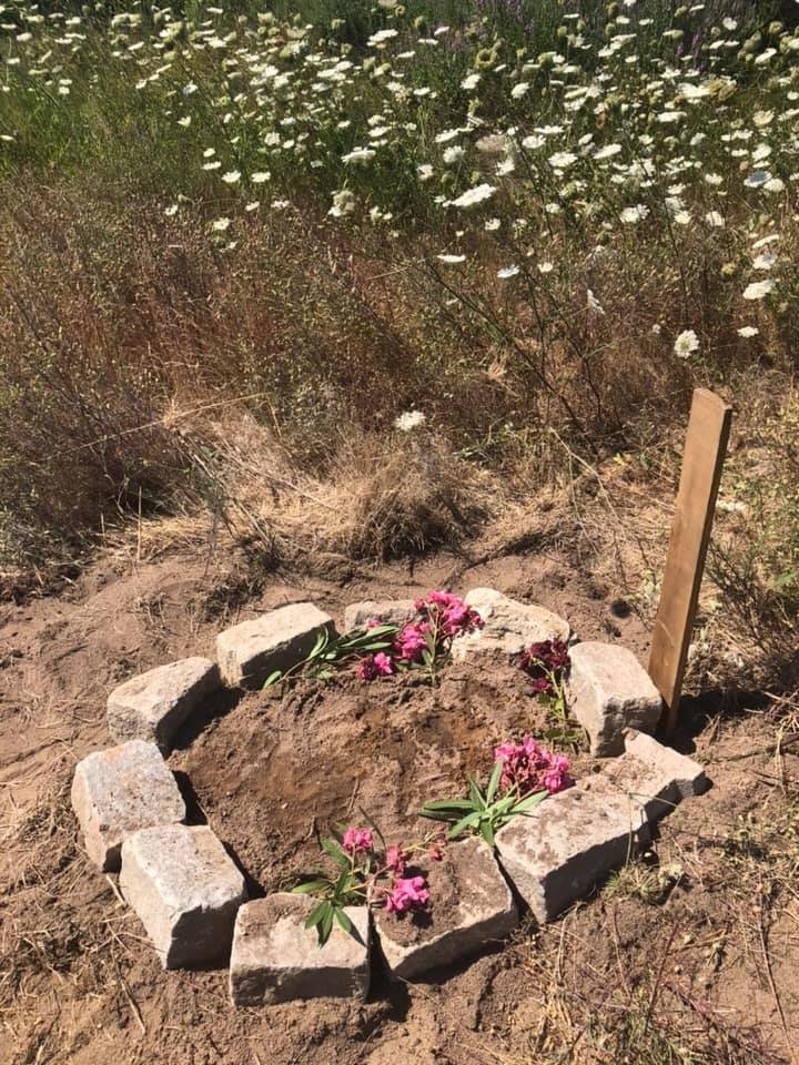 Balıkesir’de silahla öldürülen köpek toprağa gömülmüş bulundu
