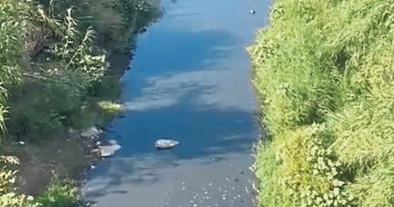 Gümüşçay zehir akıyor