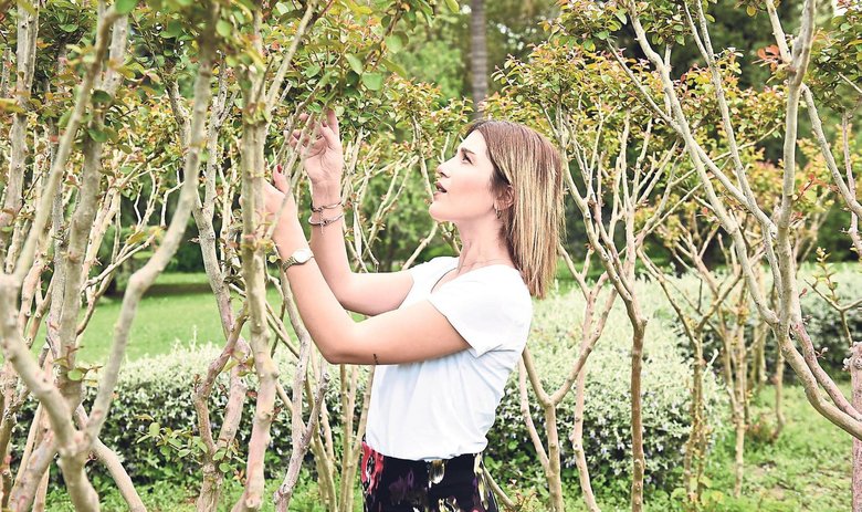 Evde organik tarım için pratik bahçe kılavuzu