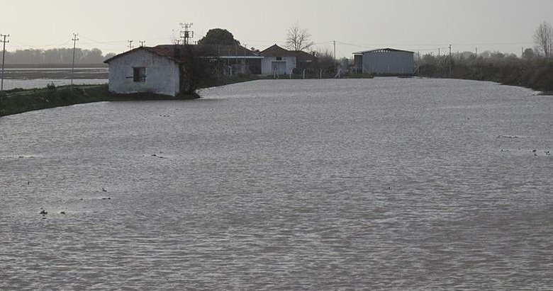 Menderes Nehri’nde tehlike çanları