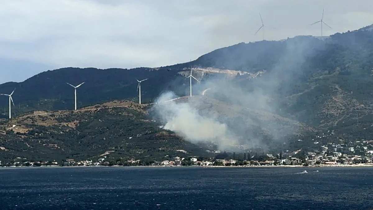 Balıkesir Marmara Adası’nda orman yangını