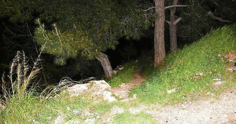 İzmir’deki ormanlık alanda bulunan kafatası ve kemik parçalarıyla ilgili soruşturmada yeni detaylar