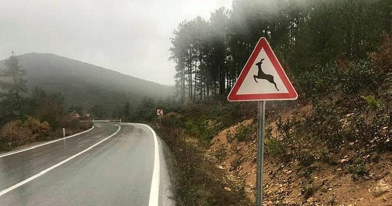 Yaban hayatı geliştirme sahasına ’Karaca çıkabilir’ levhası