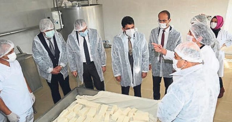 ADÜ Ziraat Fakültesi Kaşar Peyniri Üretim Tesisi açıldı