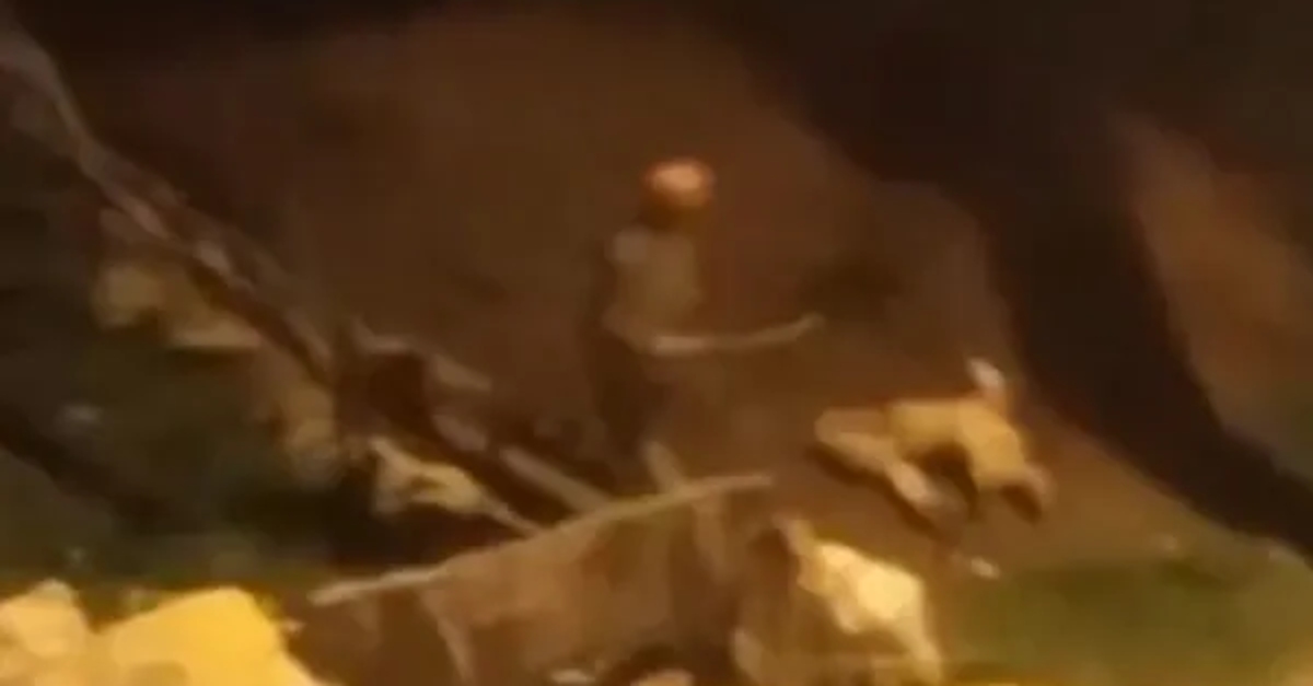 Köpeği döve döve öldürdü! Uşak'taki o cani tutuklandı