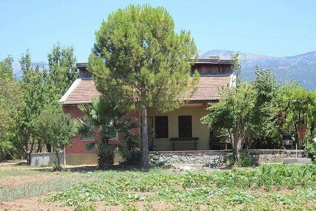 Pınar Gültekin cinayetinde yeni gelişme! Katil Metin Cemal Avcı’nın kardeşi Mertcan Avcı da tutuklandı