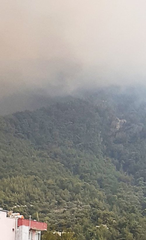 Aydın Çine’de yangın! 4 bin nüfuslu mahalle tehdit altında