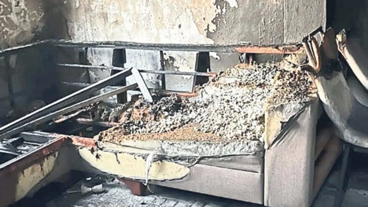 Muğla'da vahşetin küllerinden dayanışma doğdu