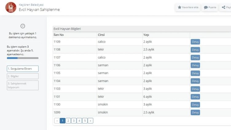 e- Devlet ile hayvan sahiplenme dönemi yürürlüğe girdi! E-Devlet hayvan sahiplendirme uygulaması nedir, nasıl çalışıyor?