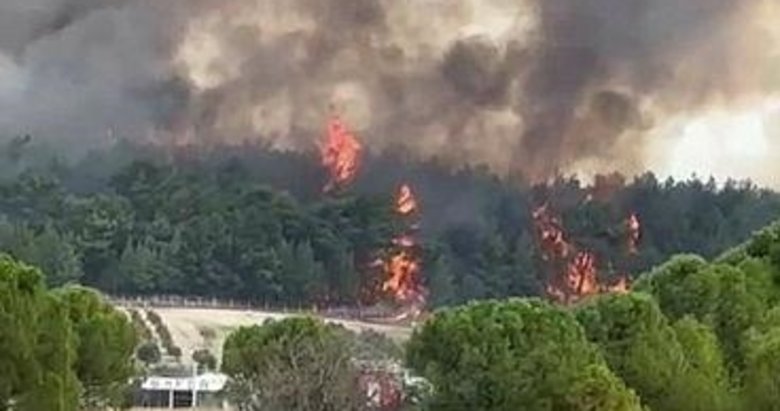 Son dakika: İzmir’deki orman yangını kontrol altında