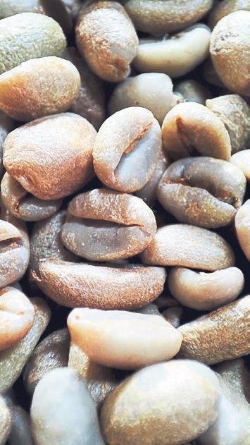 ‘Buraya kimse gelmez diyenler şimdi Pablo açmak istiyor’