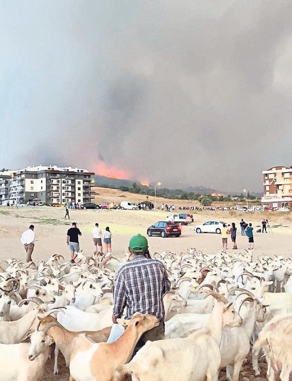 Çanakkale’den acı bilanço!